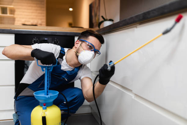 Best Affordable Pest Control Services  in Union Springs, AL
